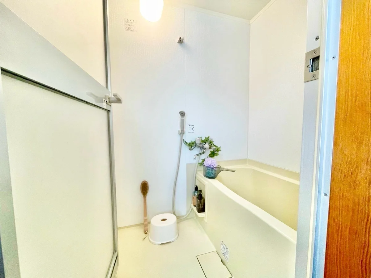 ※撮影用の観察植物・食器調理器具・雑貨類等はございません。※写真は現況優先