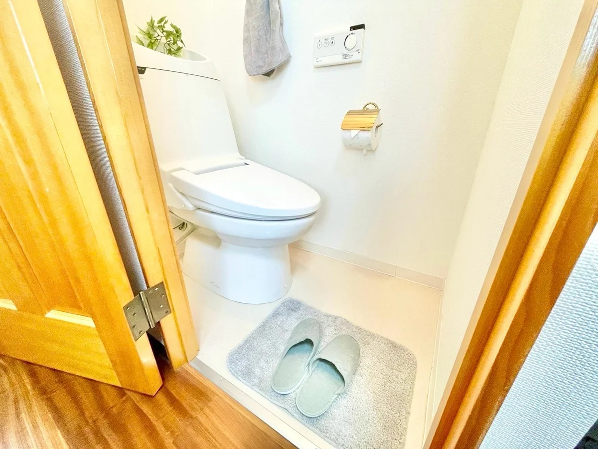 ※撮影用の観察植物・食器調理器具・雑貨類等はございません。※写真は現況優先