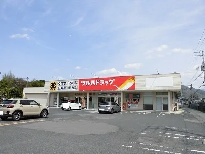 ツルハドラッグまで750m