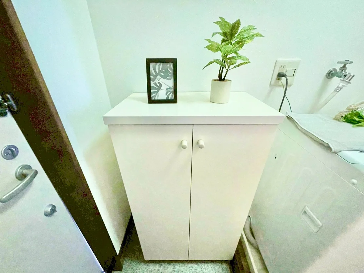 ※撮影用の観察植物・食器調理器具・雑貨類等はございません。※写真は現況優先