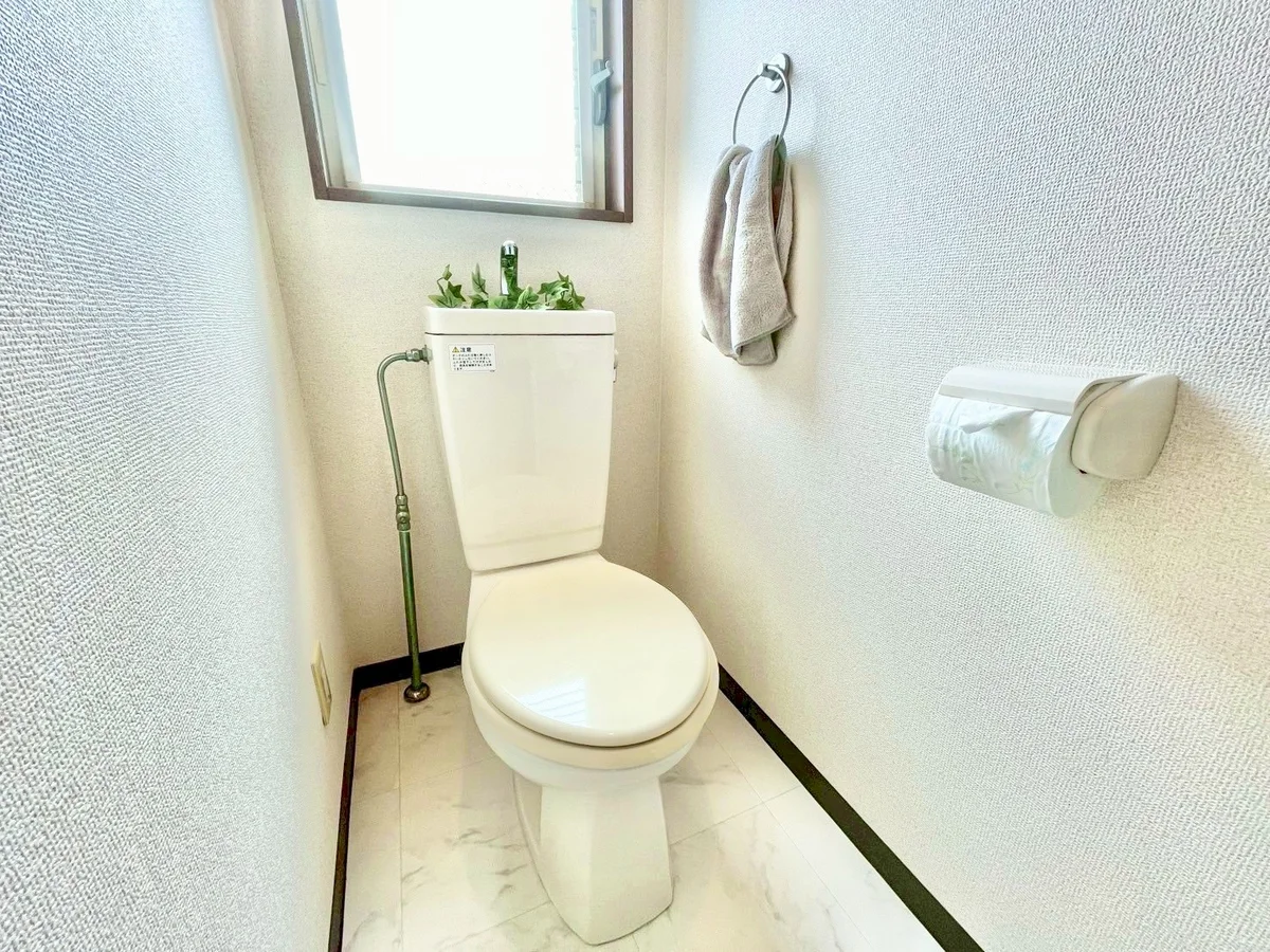 ※撮影用の観察植物・食器調理器具・雑貨類等はございません。※写真は現況優先