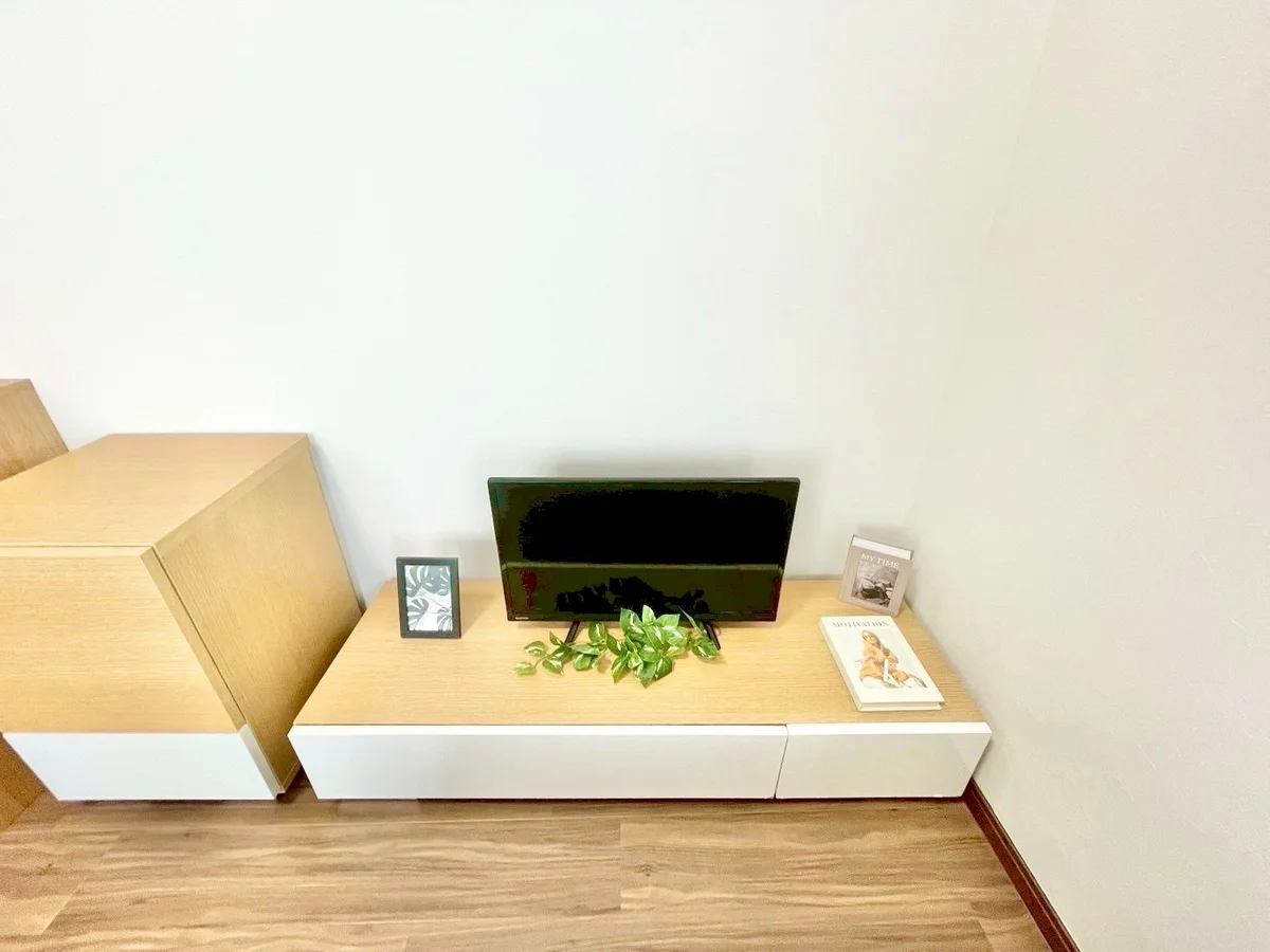 ※撮影用の観察植物・食器調理器具・雑貨類等はございません。※写真は現況優先