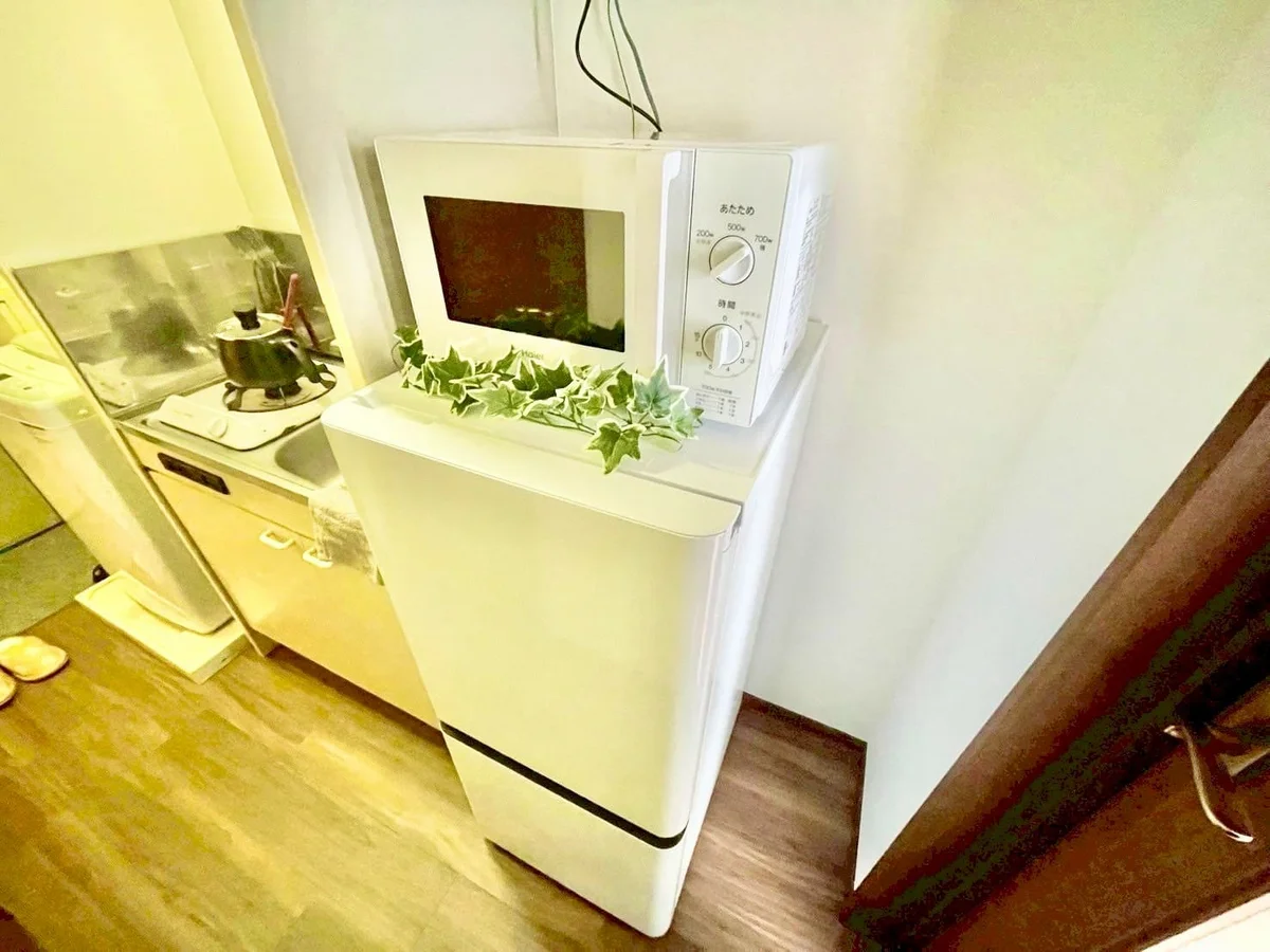 ※撮影用の観察植物・食器調理器具・雑貨類等はございません。※写真は現況優先