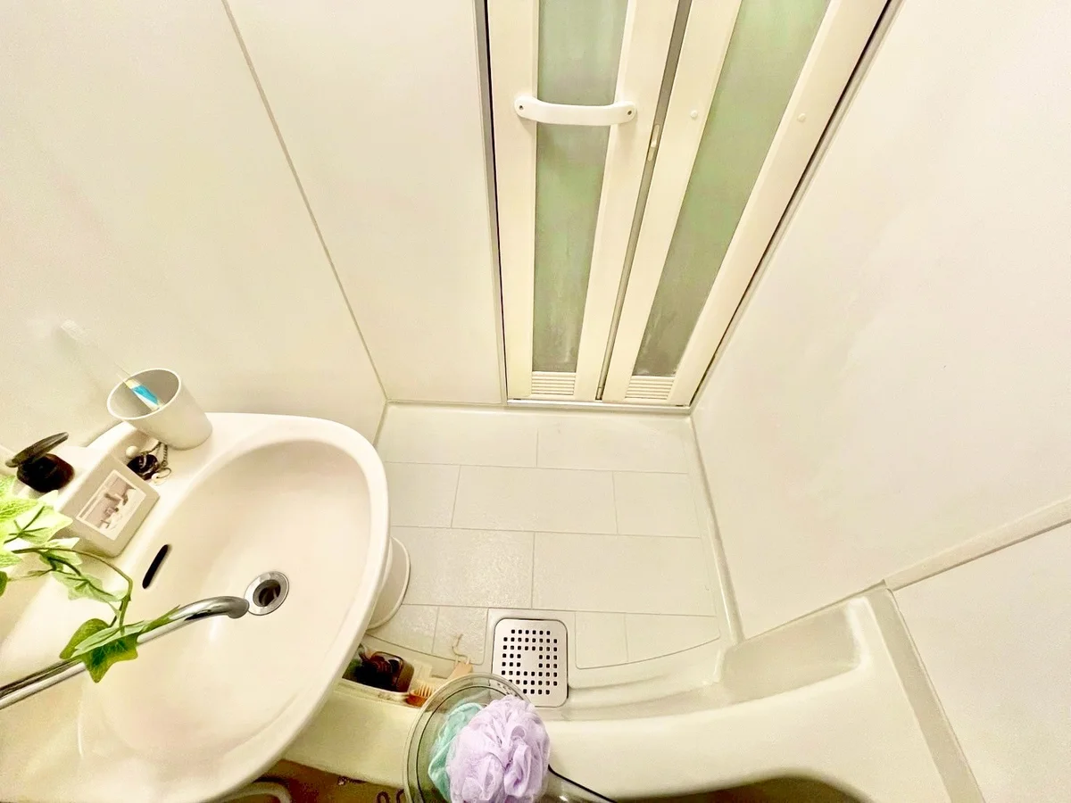 ※撮影用の観察植物・食器調理器具・雑貨類等はございません。※写真は現況優先