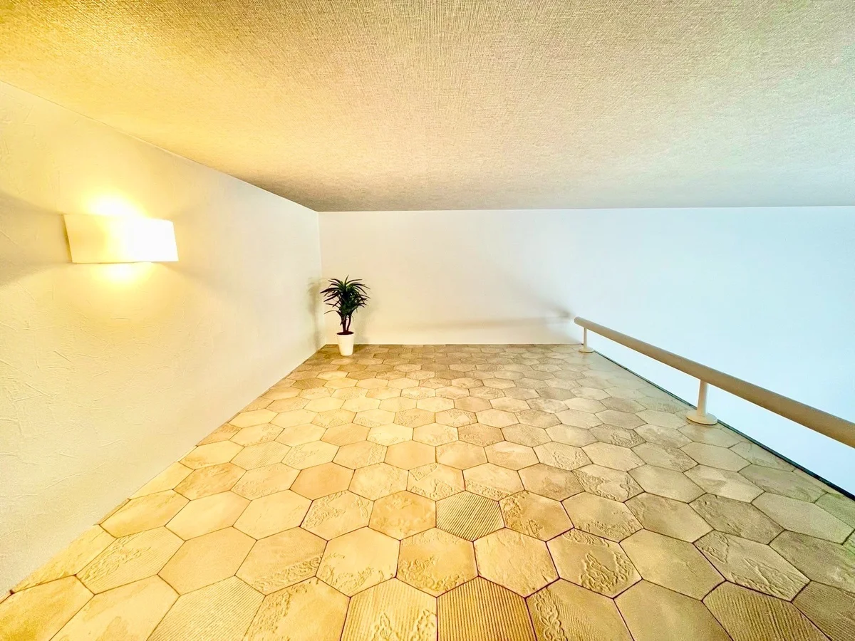 ※撮影用の観察植物・食器調理器具・雑貨類等はございません。※写真は現況優先