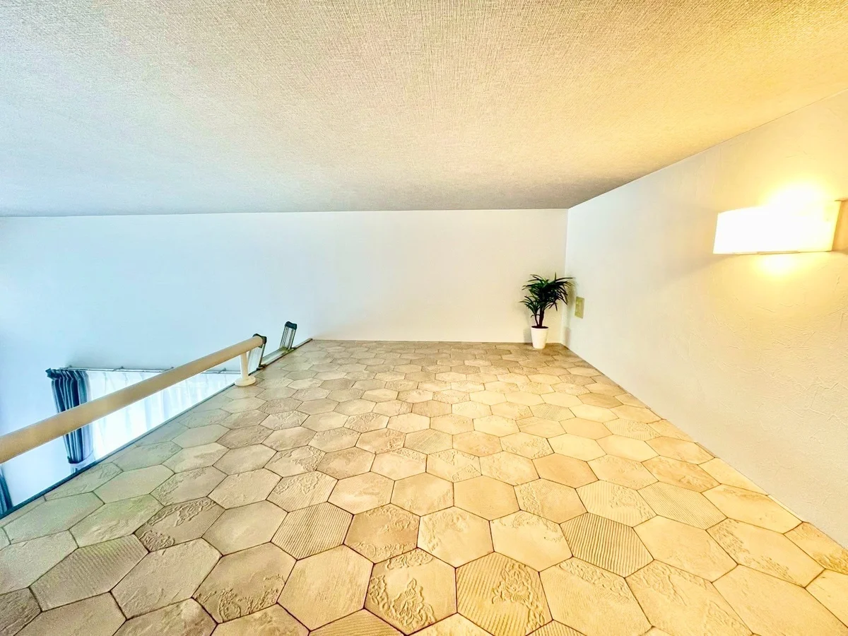 ※撮影用の観察植物・食器調理器具・雑貨類等はございません。※写真は現況優先