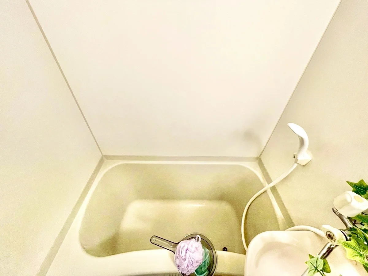 ※撮影用の観察植物・食器調理器具・雑貨類等はございません。※写真は現況優先