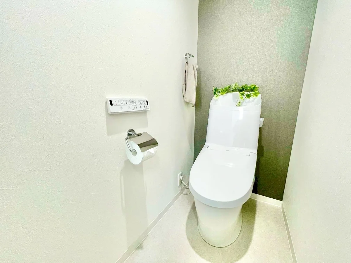 ※撮影用の観察植物・食器調理器具・雑貨類等はございません。※写真は現況優先