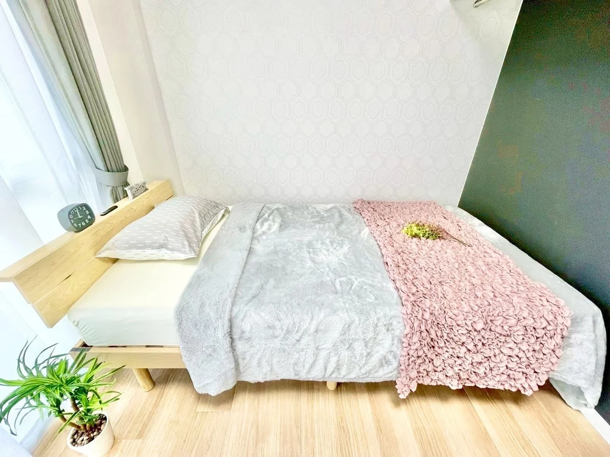 ※撮影用の観察植物・食器調理器具・雑貨類等はございません。※写真は現況優先