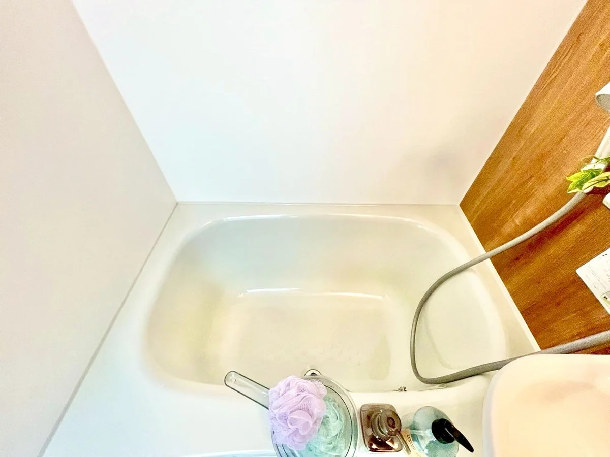 ※撮影用の観察植物・食器調理器具・雑貨類等はございません。※写真は現況優先