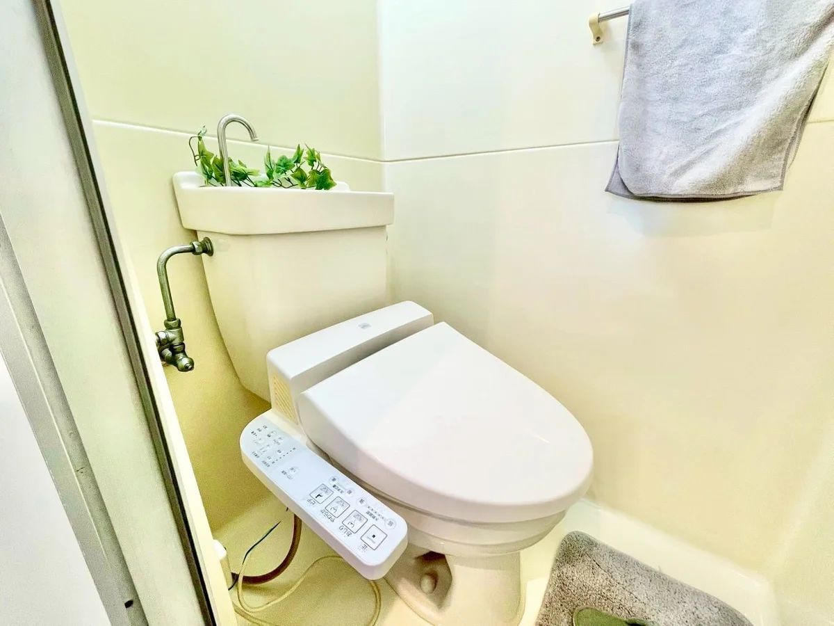 ※撮影用の観葉植物・食器調理器具・雑貨類等はございません。※図面・写真は現況優先。