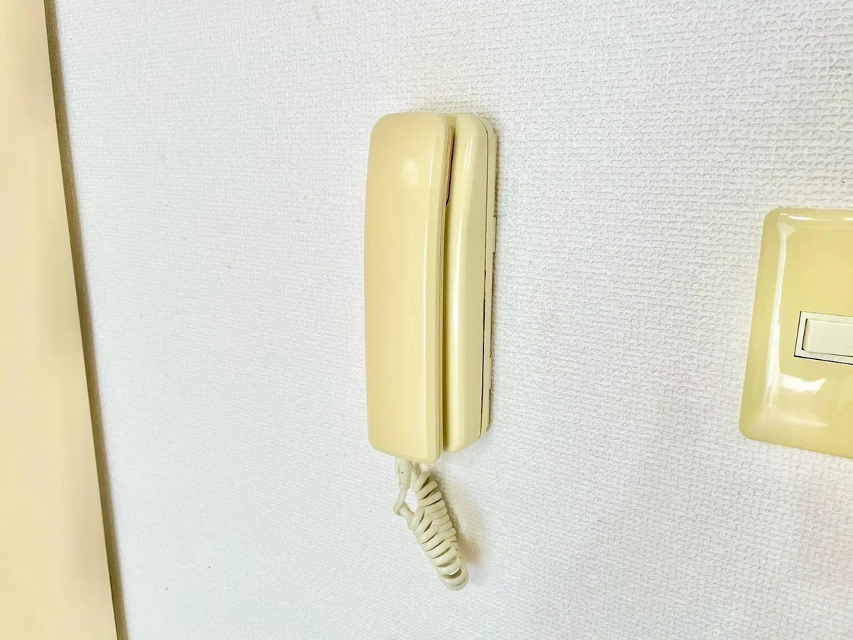 ※撮影用の観察植物・食器調理器具・雑貨類等はございません。※写真は現況優先