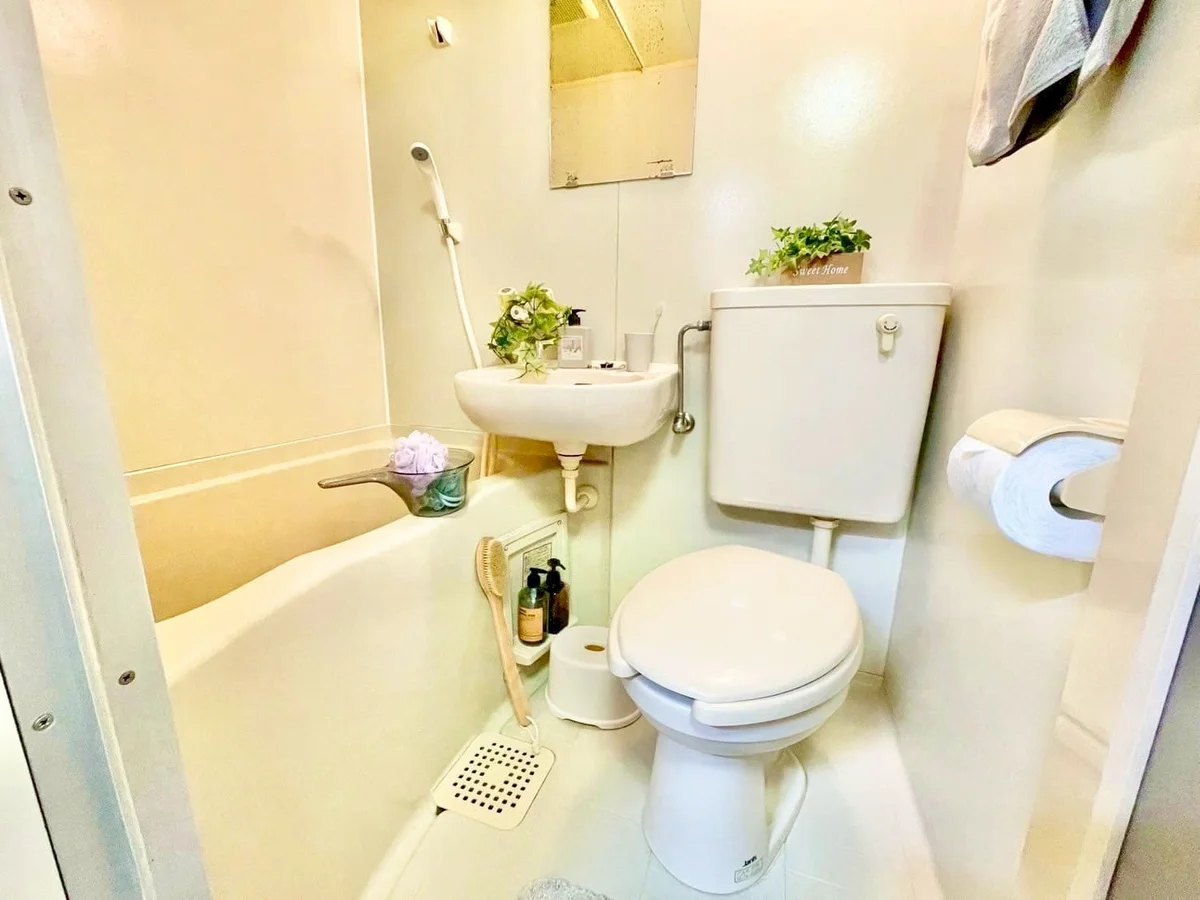 ※撮影用の観察植物・食器調理器具・雑貨類等はございません。※写真は現況優先