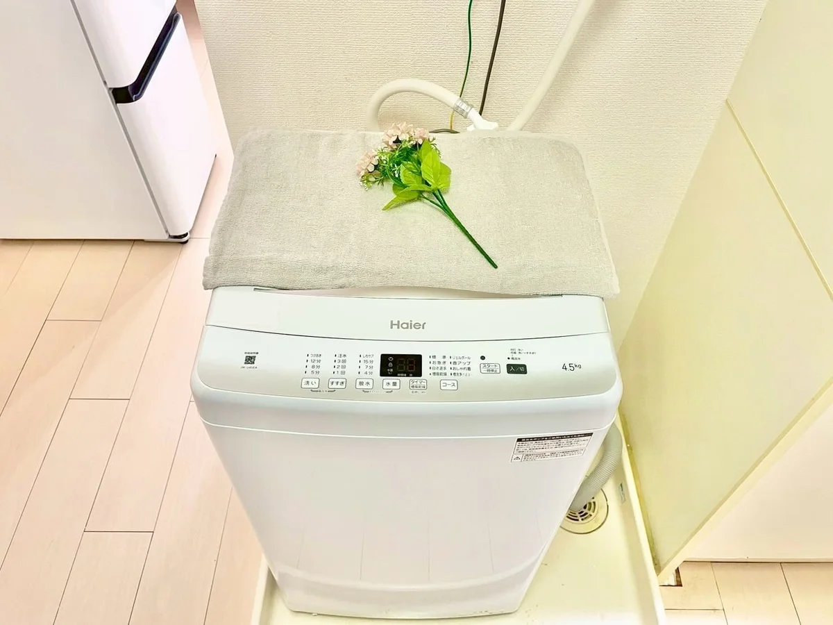 ※撮影用の観察植物・食器調理器具・雑貨類等はございません。※写真は現況優先