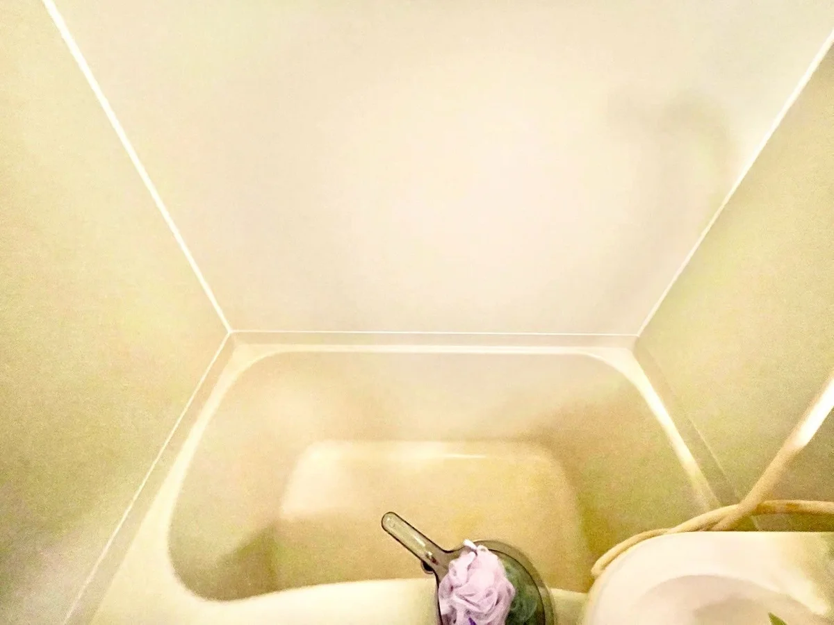 ※撮影用の観察植物・食器調理器具・雑貨類等はございません。※写真は現況優先