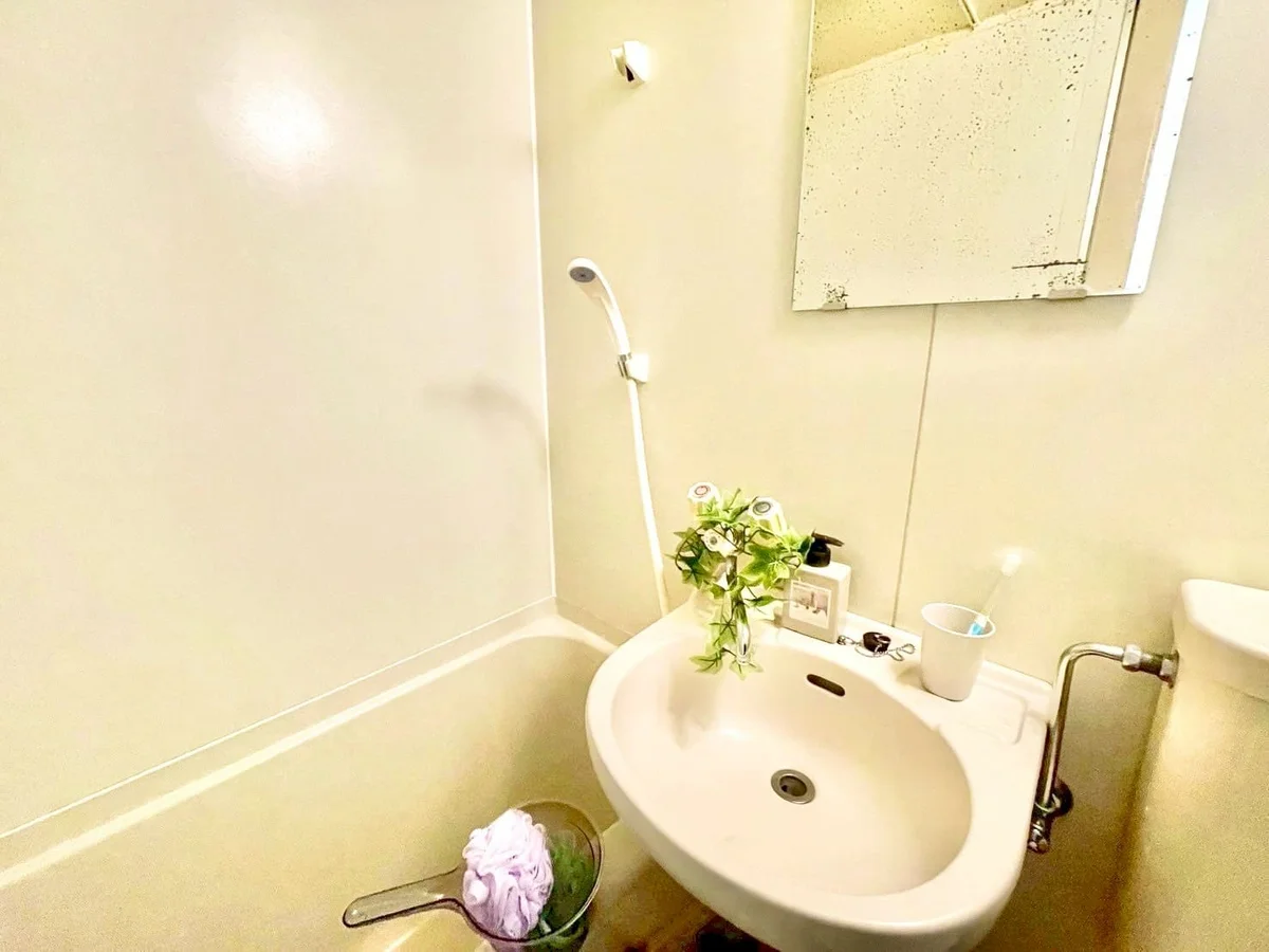 ※撮影用の観察植物・食器調理器具・雑貨類等はございません。※写真は現況優先