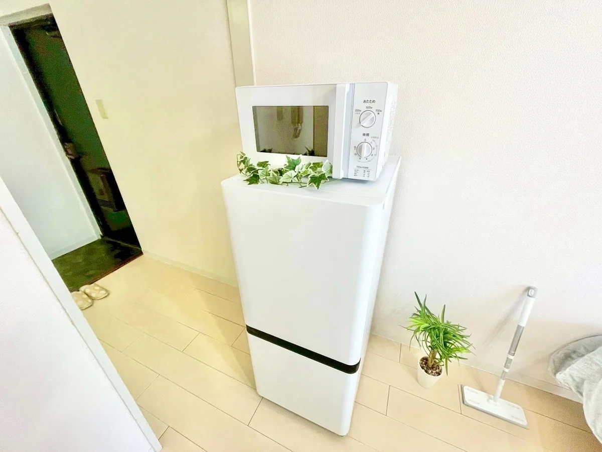 ※撮影用の観察植物・食器調理器具・雑貨類等はございません。※写真は現況優先