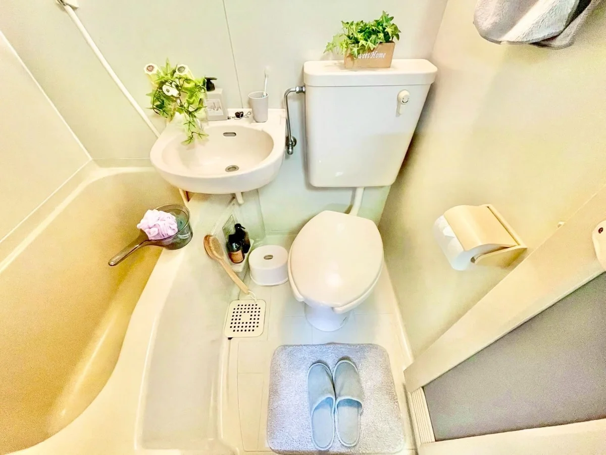 ※撮影用の観察植物・食器調理器具・雑貨類等はございません。※写真は現況優先