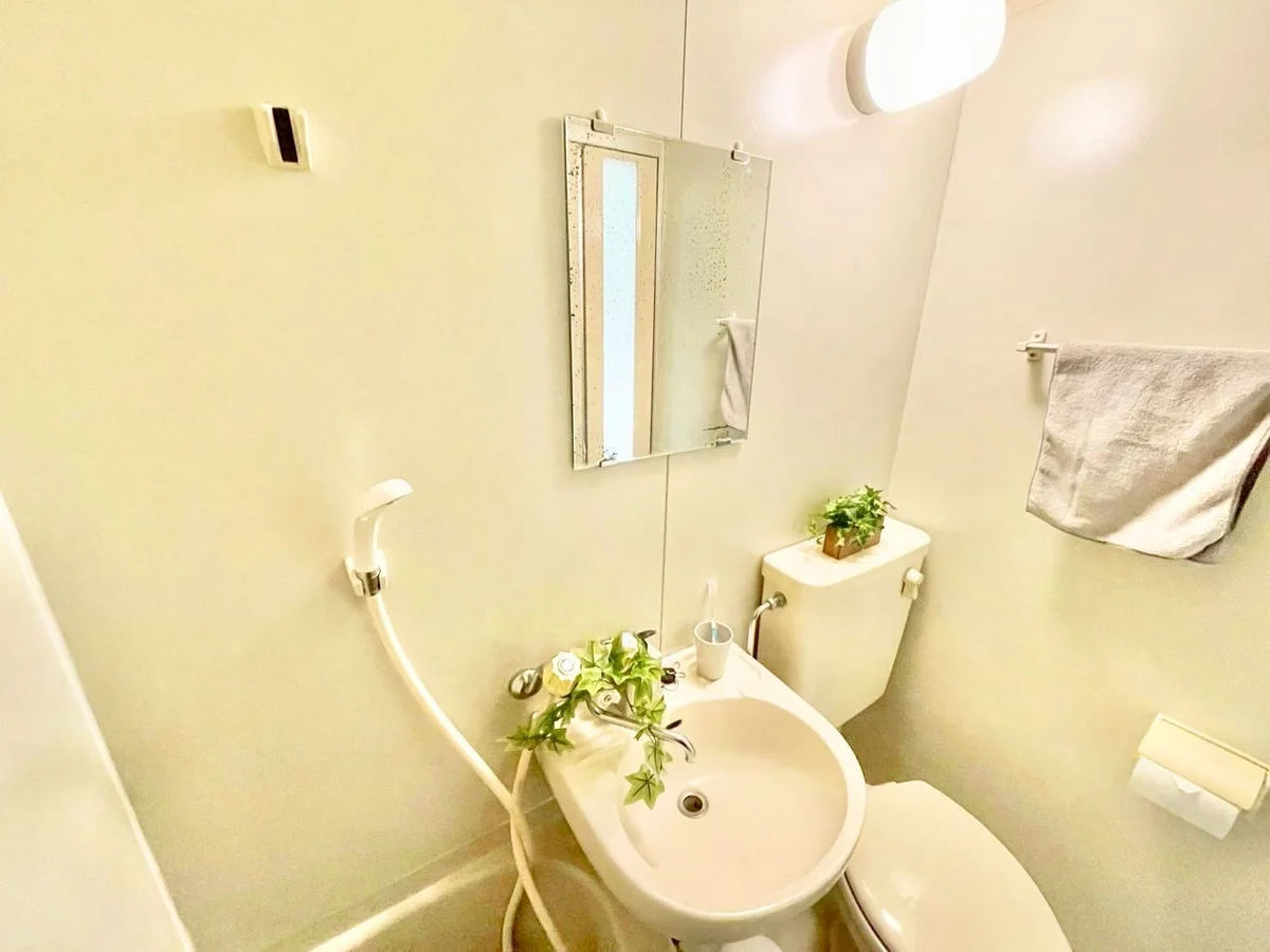 ※撮影用の観察植物・食器調理器具・雑貨類等はございません。※写真は現況優先