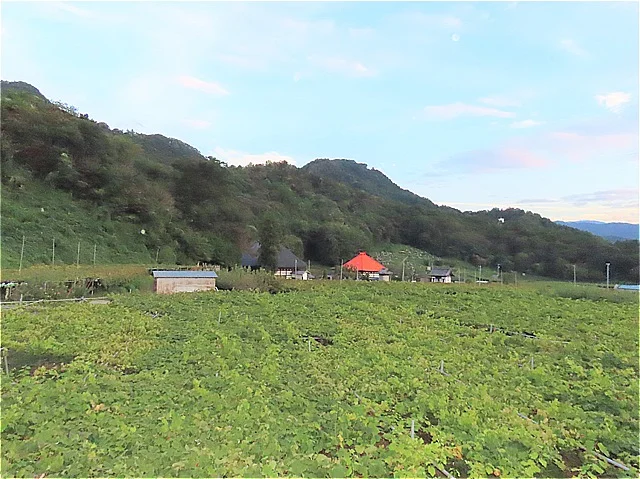 2階からのアングルです