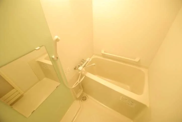 同タイプ写真の為、現況優先。