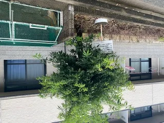 ゴミ置き場です。