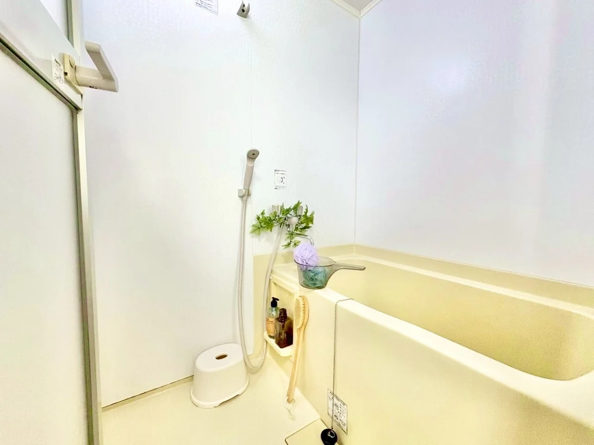 ※撮影用の観葉植物・食器調理器具・雑貨類等はございません。※図面・写真は現況優先。