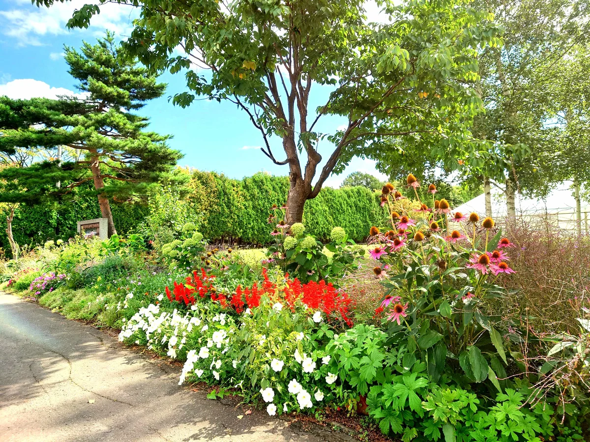 目の前の文京台小学校