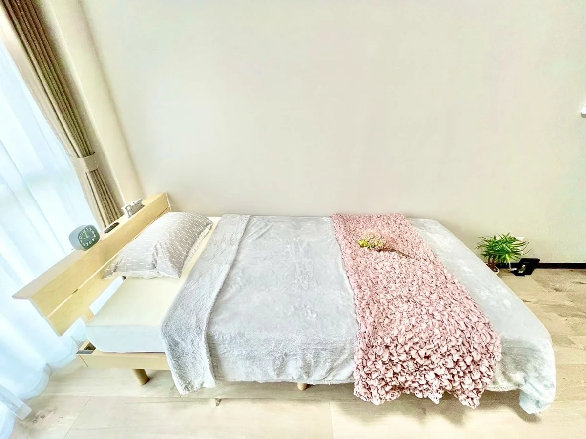 ※撮影用の観察植物・食器調理器具・雑貨類等はございません。※写真は現況優先