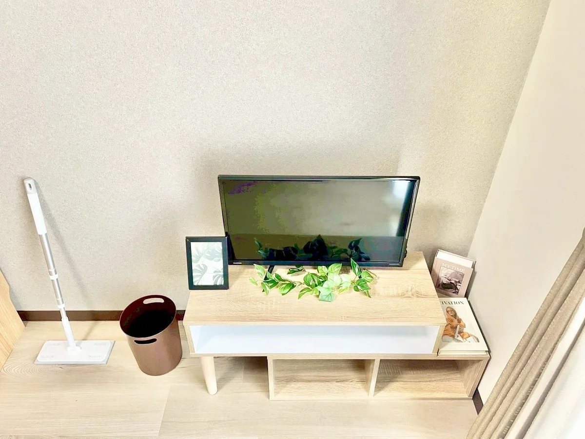 ※撮影用の観察植物・食器調理器具・雑貨類等はございません。※写真は現況優先