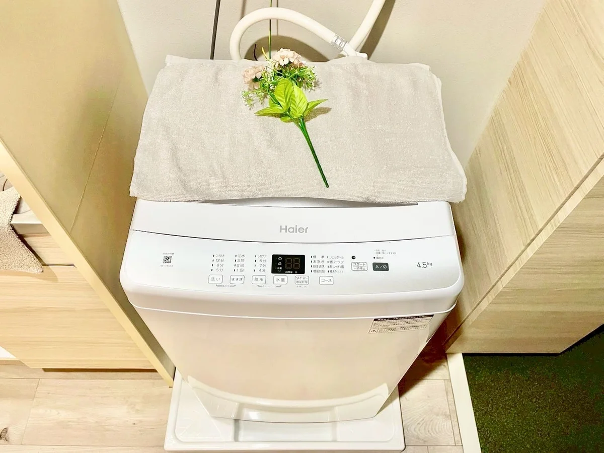 ※撮影用の観察植物・食器調理器具・雑貨類等はございません。※写真は現況優先