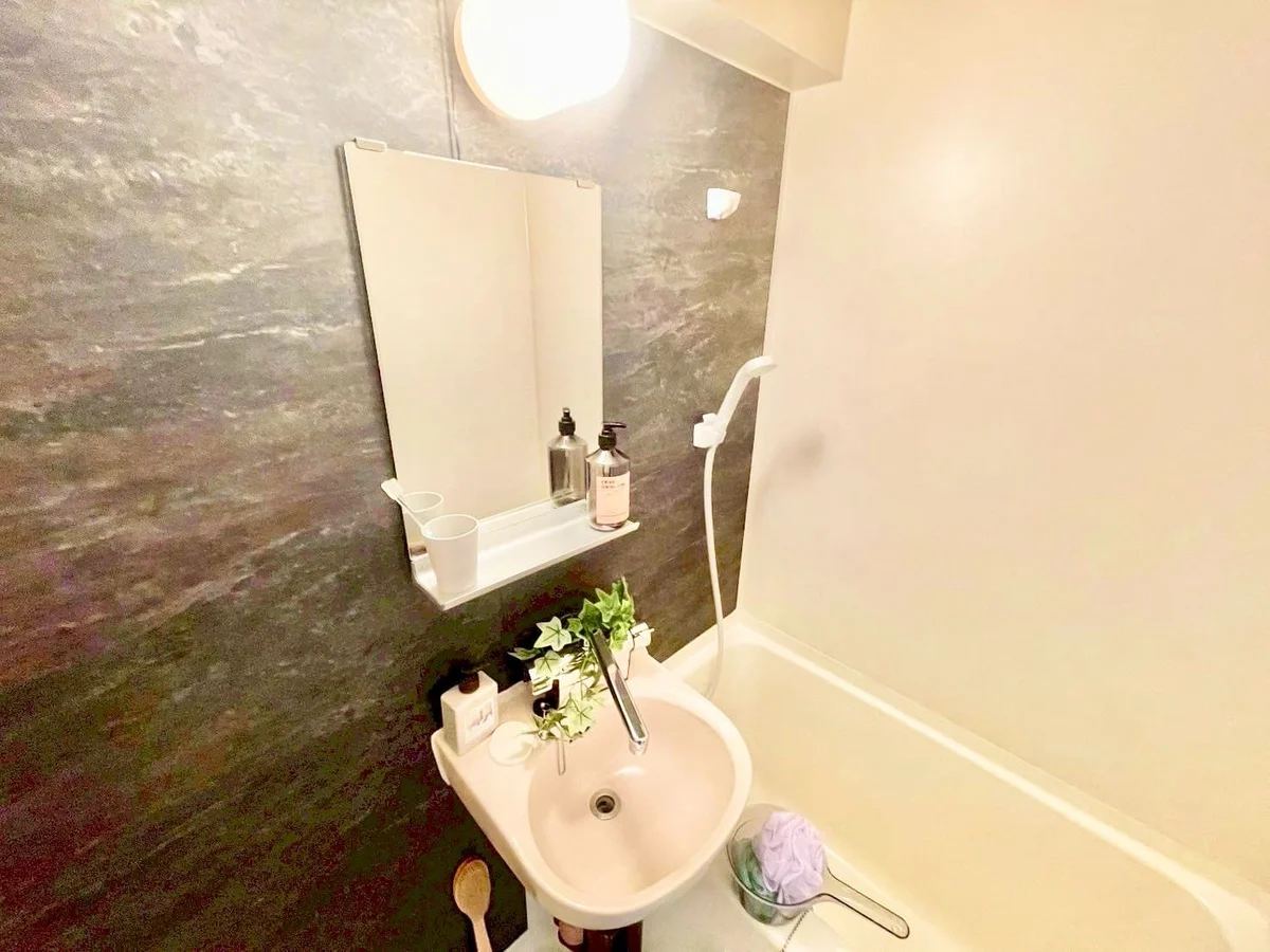 ※撮影用の観察植物・食器調理器具・雑貨類等はございません。※写真は現況優先