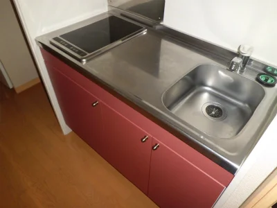 電気コンロ付きの流し台。