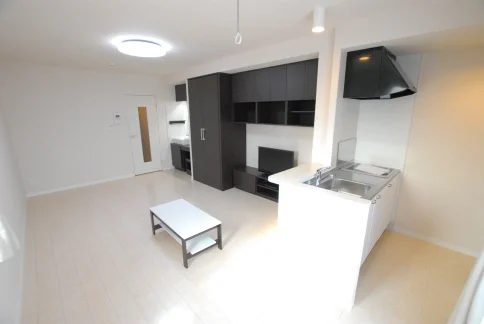 同タイプ写真の為、現況優先。