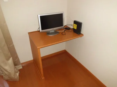 テレビとレオネット。