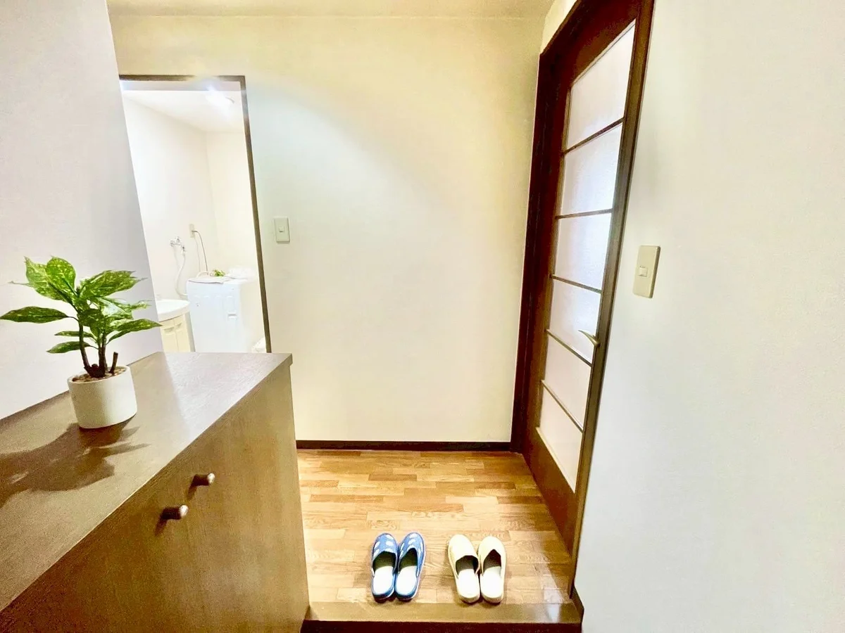 ※撮影用の観察植物・食器調理器具・雑貨類等はございません。※写真は現況優先