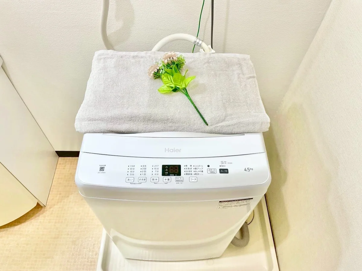 ※撮影用の観察植物・食器調理器具・雑貨類等はございません。※写真は現況優先