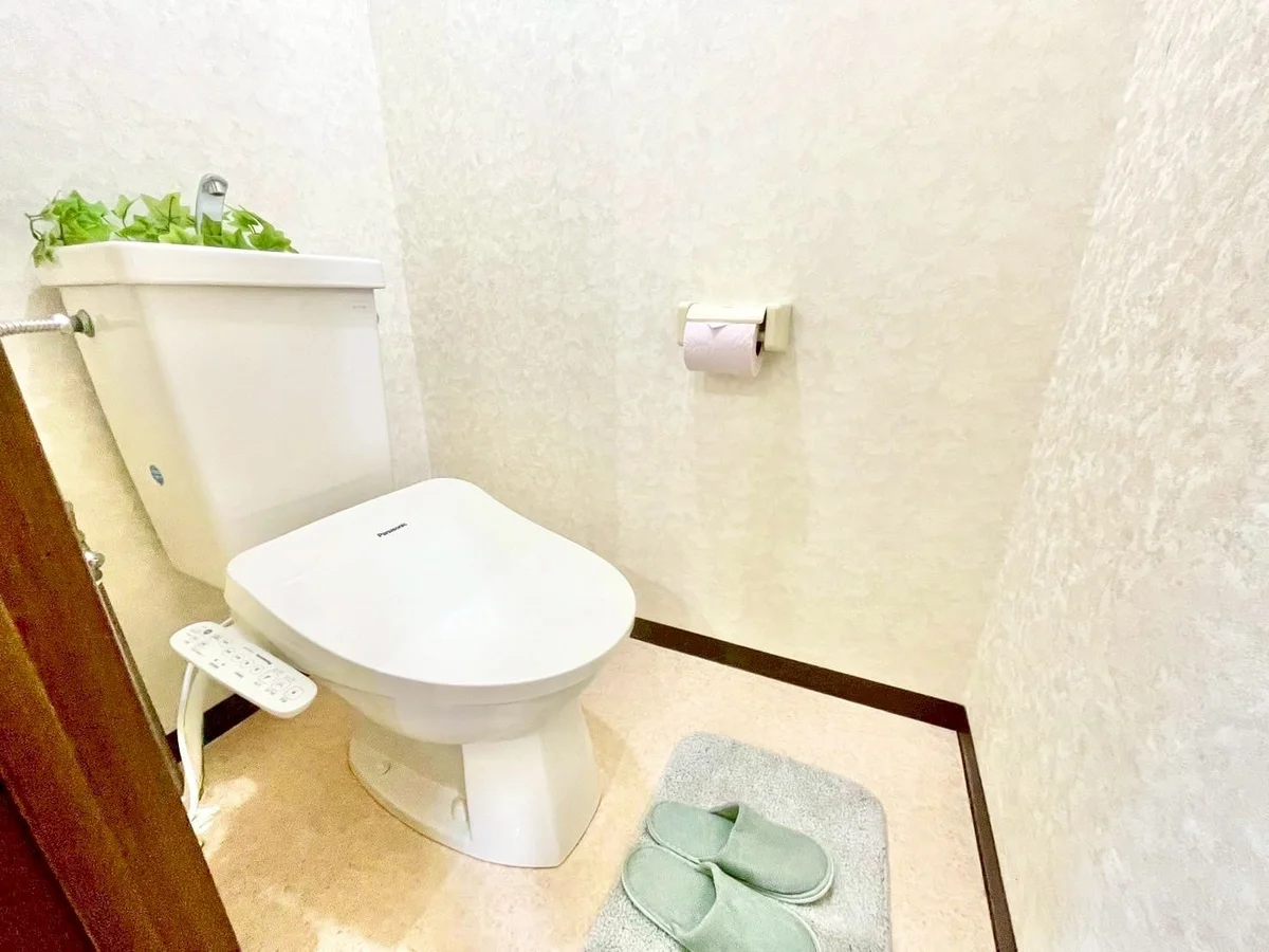 ※撮影用の観察植物・食器調理器具・雑貨類等はございません。※写真は現況優先