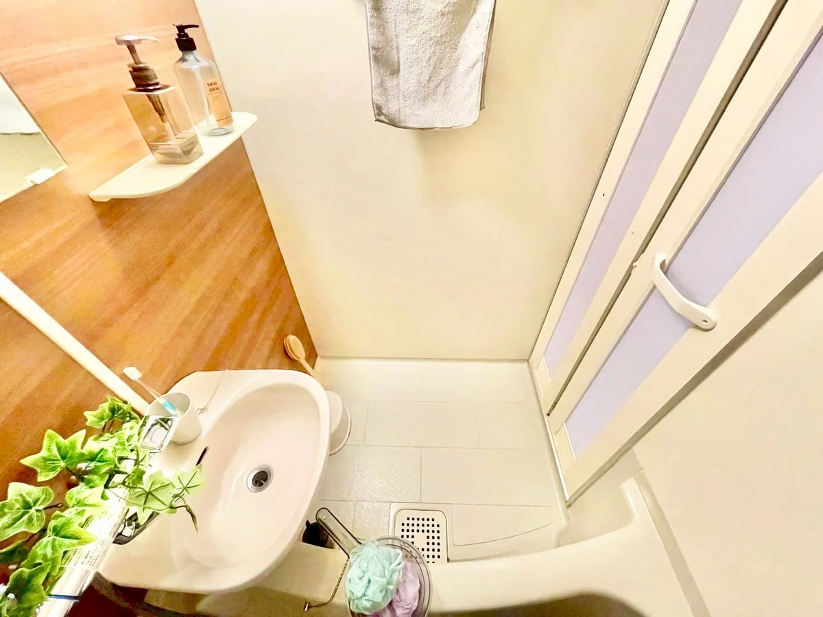 ※撮影用の観察植物・食器調理器具・雑貨類等はございません。※写真は現況優先