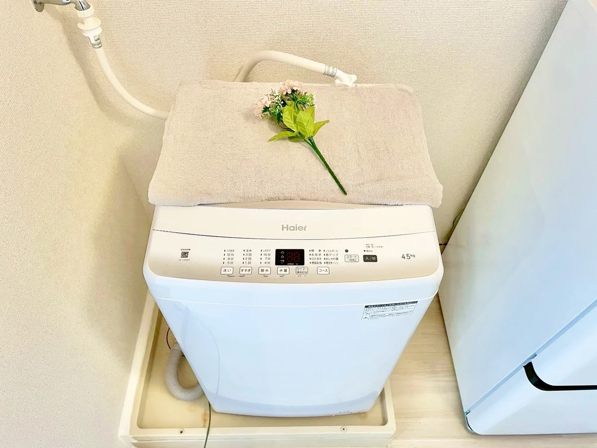 ※撮影用の観察植物・食器調理器具・雑貨類等はございません。※写真は現況優先