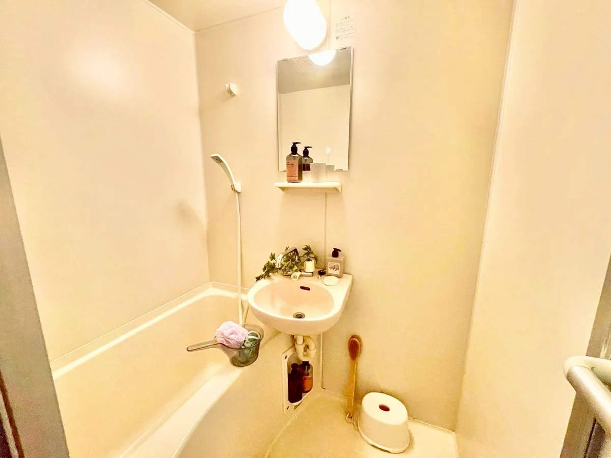 ※撮影用の観察植物・食器調理器具・雑貨類等はございません。※写真は現況優先