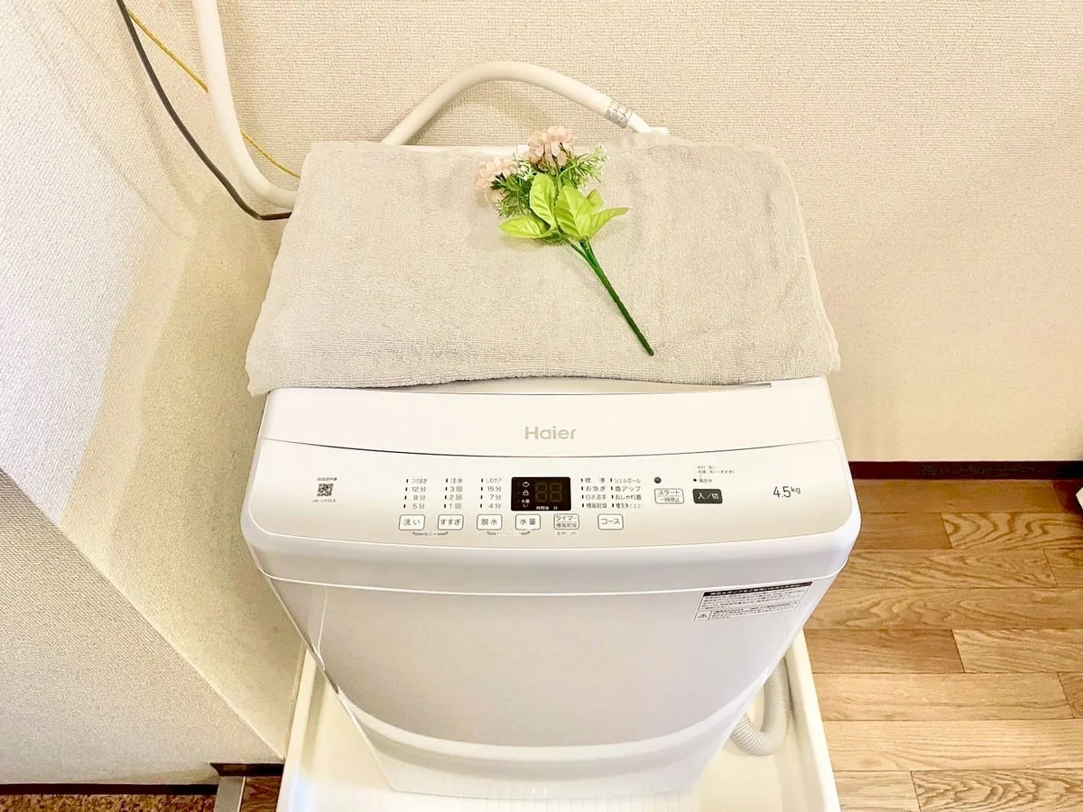 ※撮影用の観察植物・食器調理器具・雑貨類等はございません。※写真は現況優先