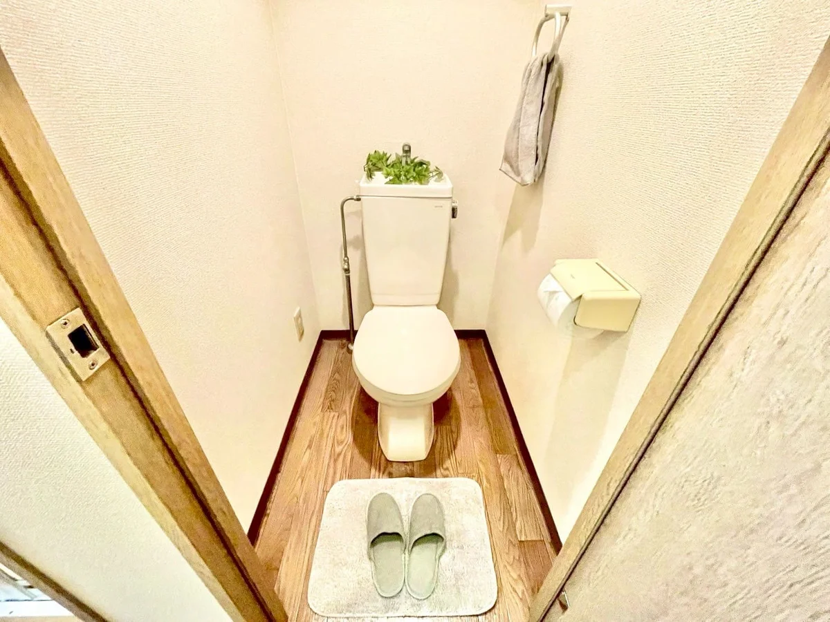 ※撮影用の観察植物・食器調理器具・雑貨類等はございません。※写真は現況優先