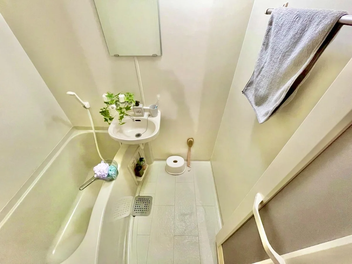 ※撮影用の観葉植物・食器調理器具・雑貨類等はございません。※図面・写真は現況優先。