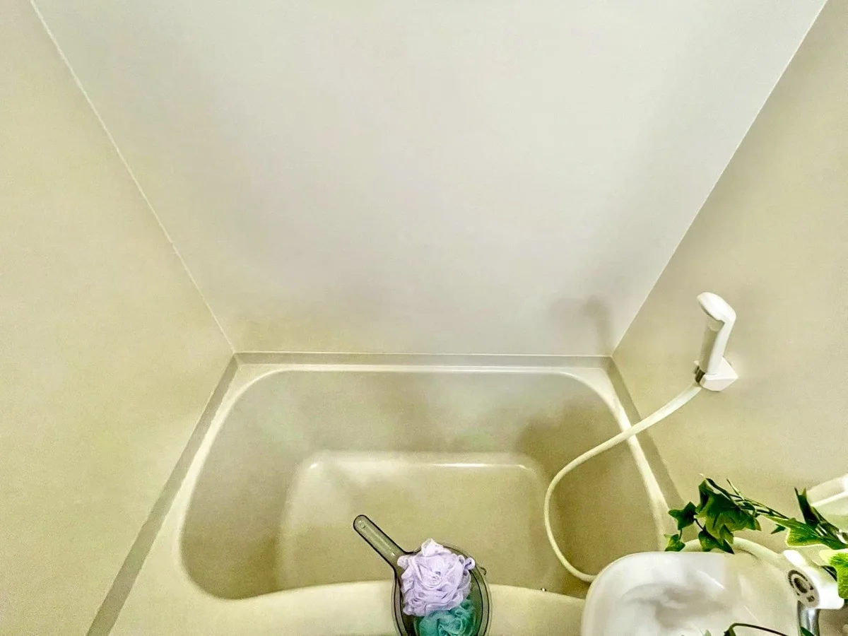 ※撮影用の観葉植物・食器調理器具・雑貨類等はございません。※図面・写真は現況優先。