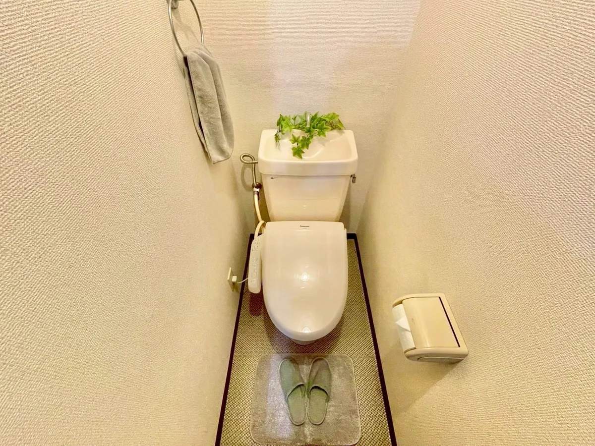 ※撮影用の観葉植物・食器調理器具・雑貨類等はございません。※図面・写真は現況優先。