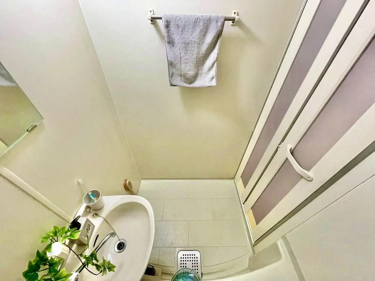 ※撮影用の観葉植物・食器調理器具・雑貨類等はございません。※図面・写真は現況優先。