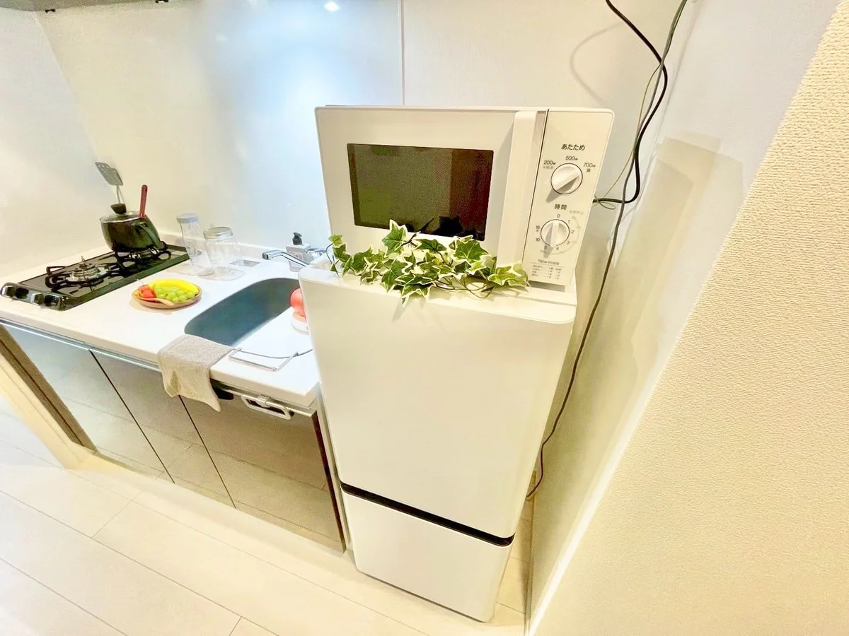 ※撮影用の観察植物・食器調理器具・雑貨類等はございません。※写真は現況優先