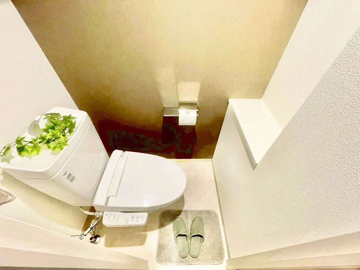 ※撮影用の観察植物・食器調理器具・雑貨類等はございません。※写真は現況優先