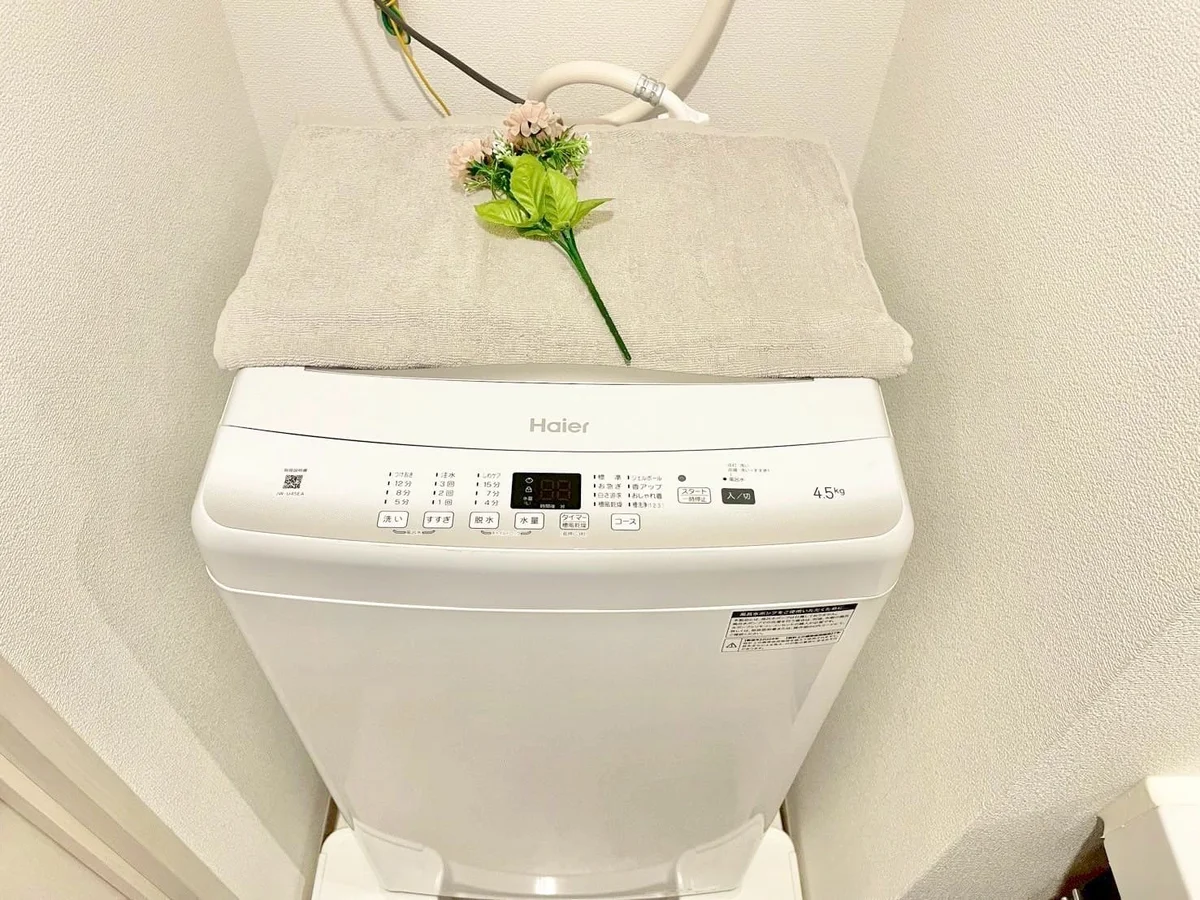 ※撮影用の観察植物・食器調理器具・雑貨類等はございません。※写真は現況優先